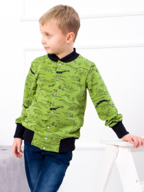 Кофта Носи своє модель 6029-055-4-1-dinozavr-olivka Фото