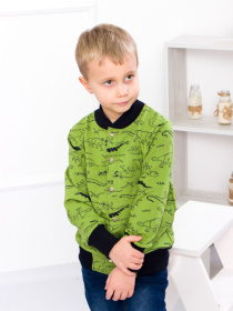 Кофта Носи своє модель 6029-055-4-1-dinozavr-olivka Фото