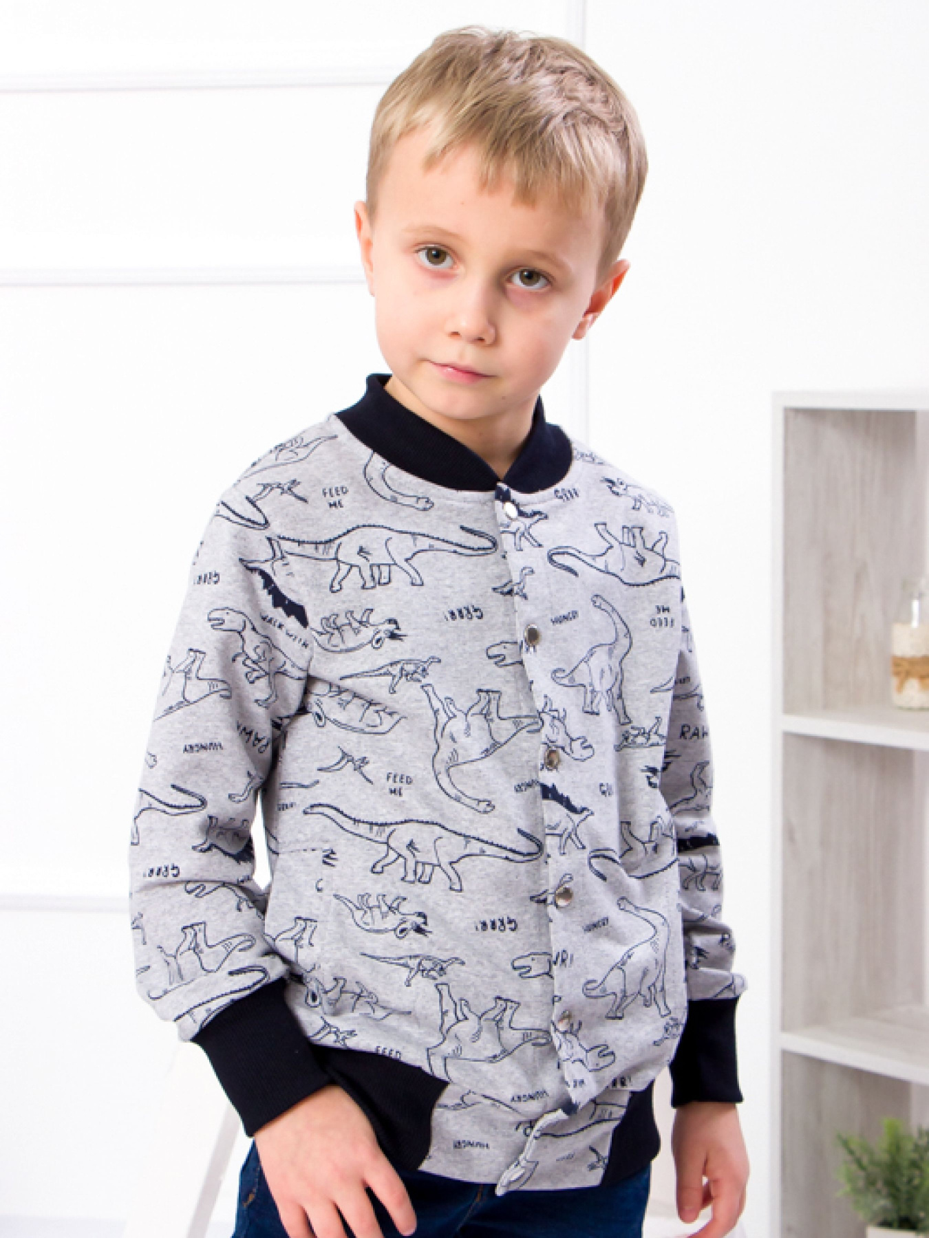 Кофта Носи своє модель 6029-055-4-1-dinozavr-srij Фото