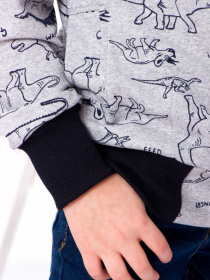 Кофта Носи своє модель 6029-055-4-1-dinozavr-srij Фото