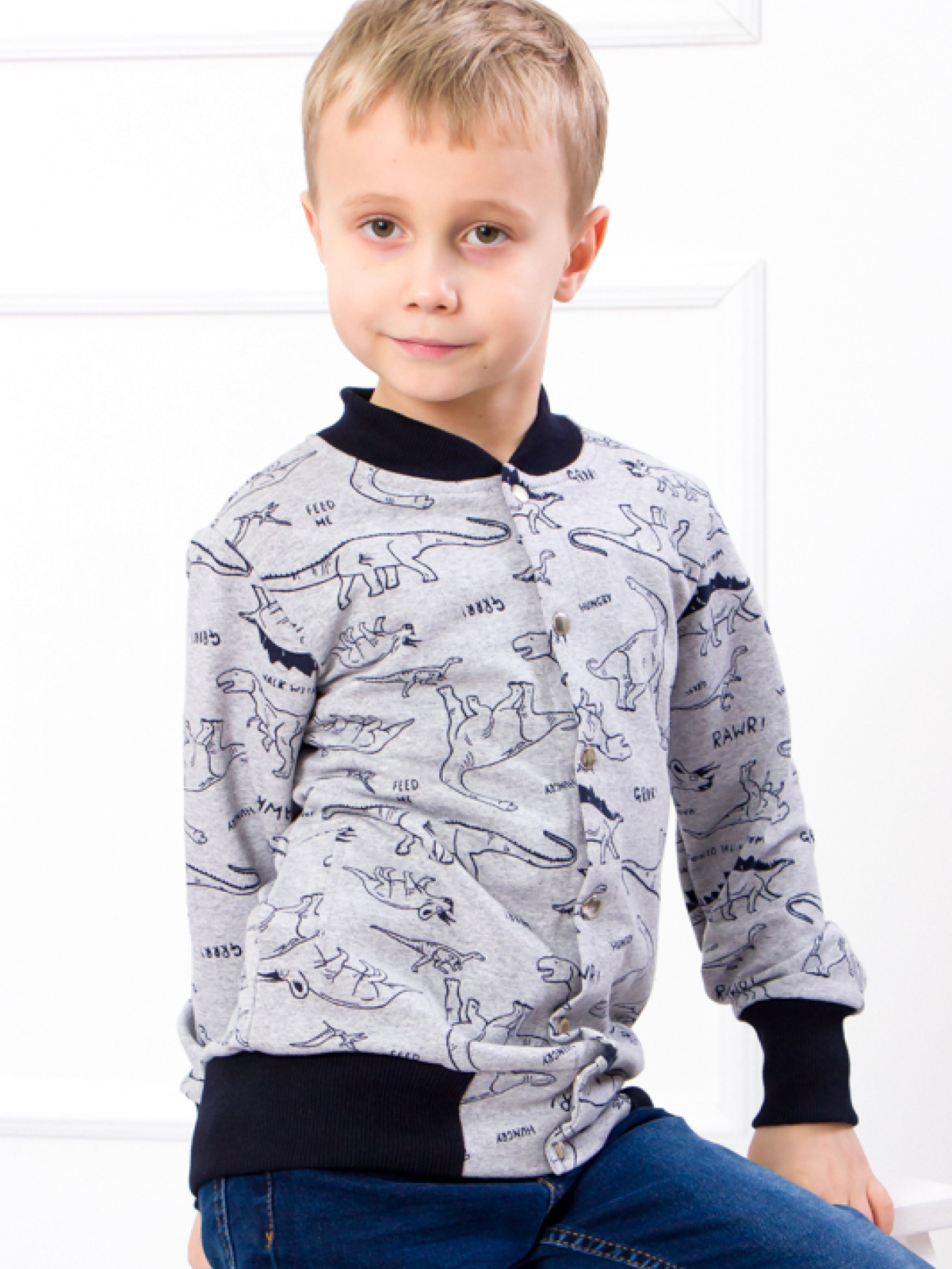 Кофта Носи своє модель 6029-055-4-1-dinozavr-srij Фото