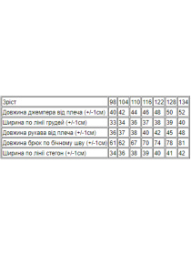 Спортивный костюм Носи своє модель 6063-024-4-vedmediki Фото