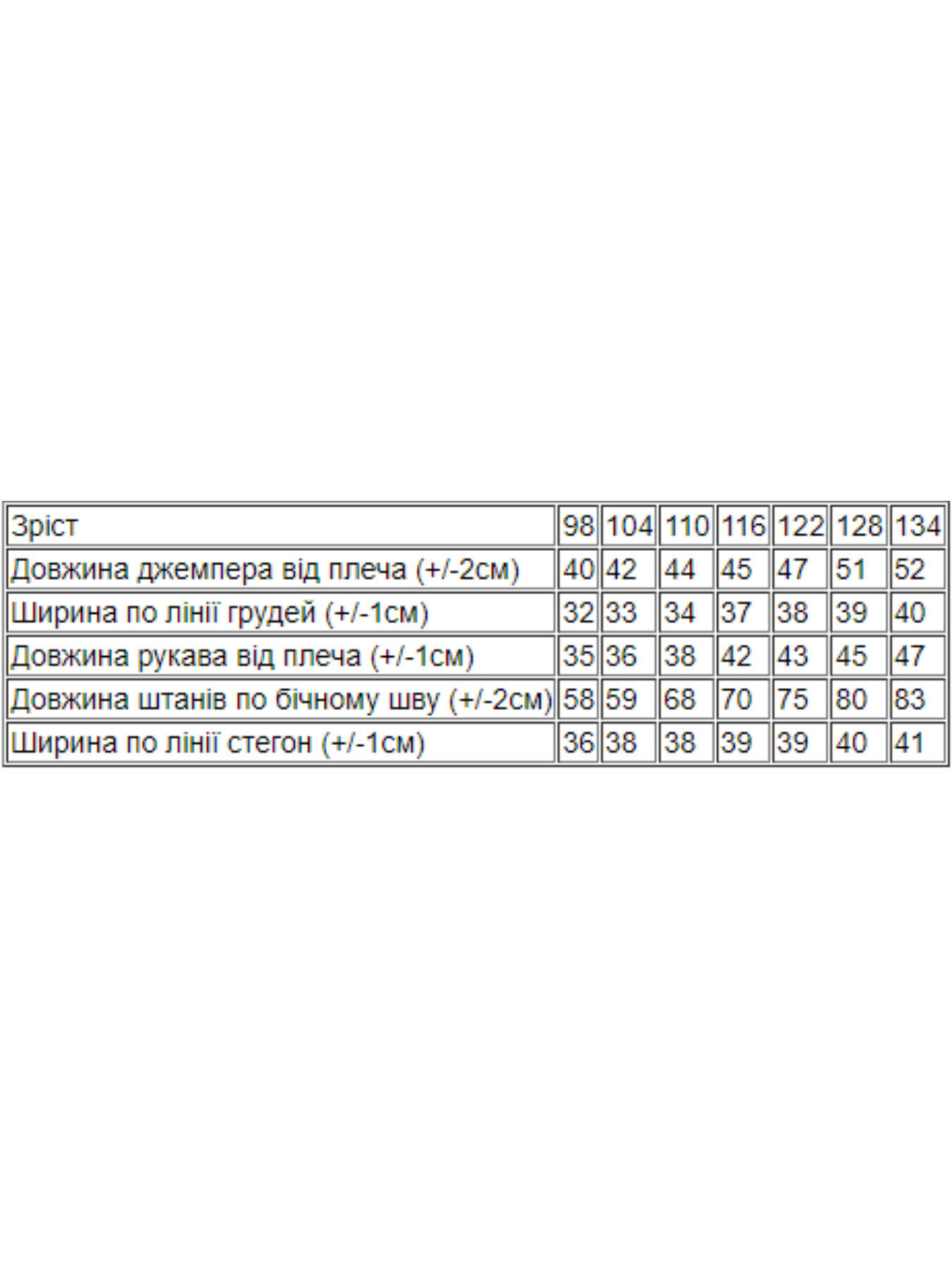 Спортивный костюм Носи своє модель 6063-025-33-4-hak-mkk Фото