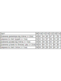 Спортивный костюм Носи своє модель 6063-025-33-4-hak-mkk Фото