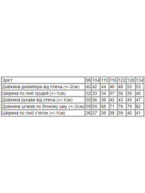 Спортивный костюм Носи своє модель 6063-025-33-5-chervonij-koral-mnn Фото