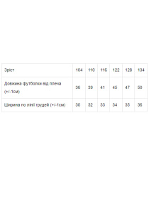 Поло Носи своє модель 6201-001-33-blakitnij Фото