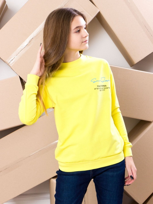 Свитшот Носи своє модель 6234-057-33-limon Фото