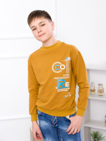 Свитшот Носи своє модель 6235-057-33-temna-grchicq Фото