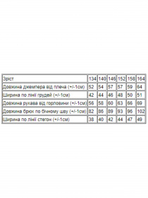 Костюм Носи своє модель 6254-057-33-sinj Фото