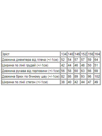 Повсякденний костюм Носи своє модель 6254-057-33-sinj Фото