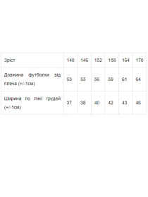 Футболка Носи своє модель 6263-055-grchicq Фото