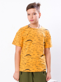 Футболка Носи своє модель 6263-055-grchicq Фото