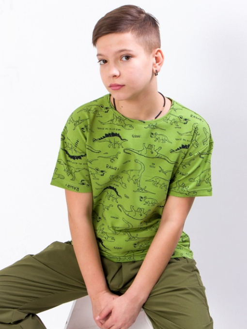 Футболка Носи своє модель 6263-055-olivka Фото