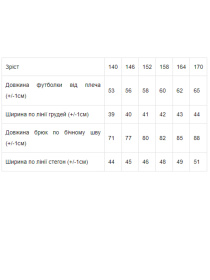 Спортивный костюм Носи своє модель 6264-057-zhovtij-chornij Фото