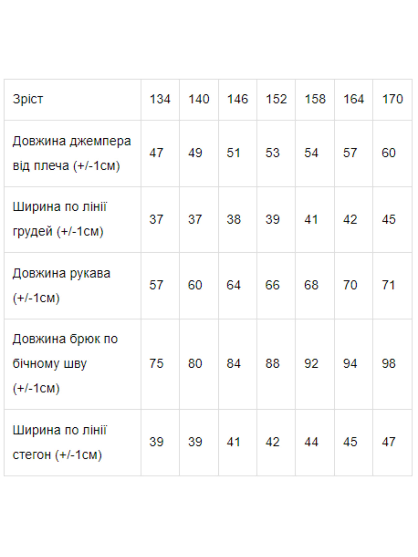 Спортивний костюм Носи своє модель 6273-057-blakitnij-melanzh Спортивний костюм Носи своє модель 6273-057-blakitnij-melanzh Фото