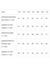 Спортивний костюм Носи своє модель 6273-057-blakitnij-melanzh Спортивний костюм Носи своє модель 6273-057-blakitnij-melanzh Фото