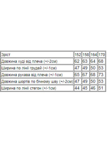 Повседневный костюм Носи своє модель 6280-057-33-burshtin Фото