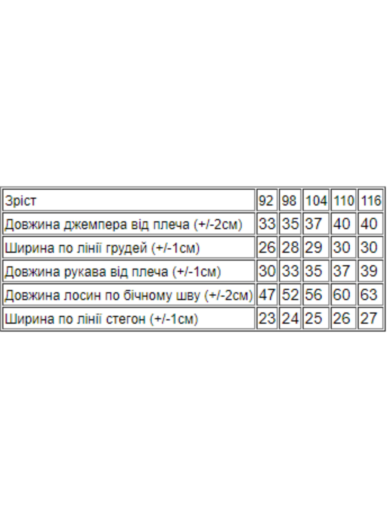 Повседневный костюм Носи своє модель 6287-043-33-malina Фото