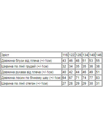 Повсякденний костюм Носи своє модель 6288-043-serdechka Фото