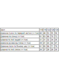 Повседневный костюм Носи своє модель 6292-036-polin Фото