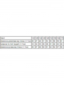 Джемпер Носи своє модель 6295-091-chornij Фото