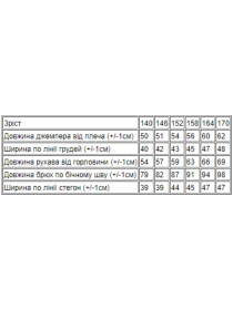 Спортивный костюм Носи своє модель 6296-057-morsxka-hvilq Фото