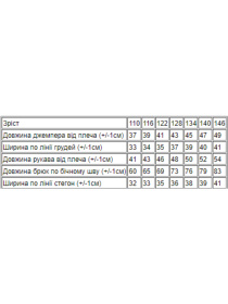 Спортивный костюм Носи своє модель 6303-103-kapuchino Фото