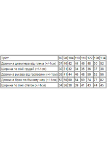 Спортивный костюм Носи своє модель 6309-057-33-chornilxno-sinj Фото