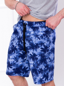 Повседневные шорты Носи своє модель 8123-055-palxmi-sinj Фото