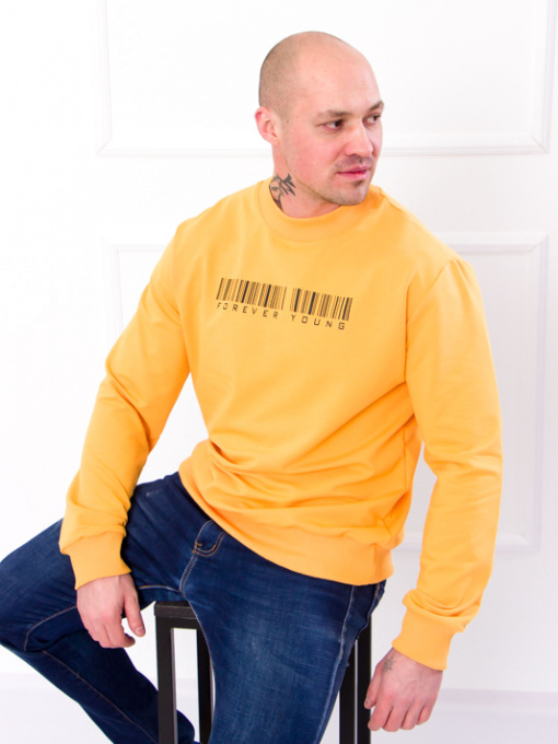 Світшот Носи своє Модель 8167-057-33-1-burshtin Фото