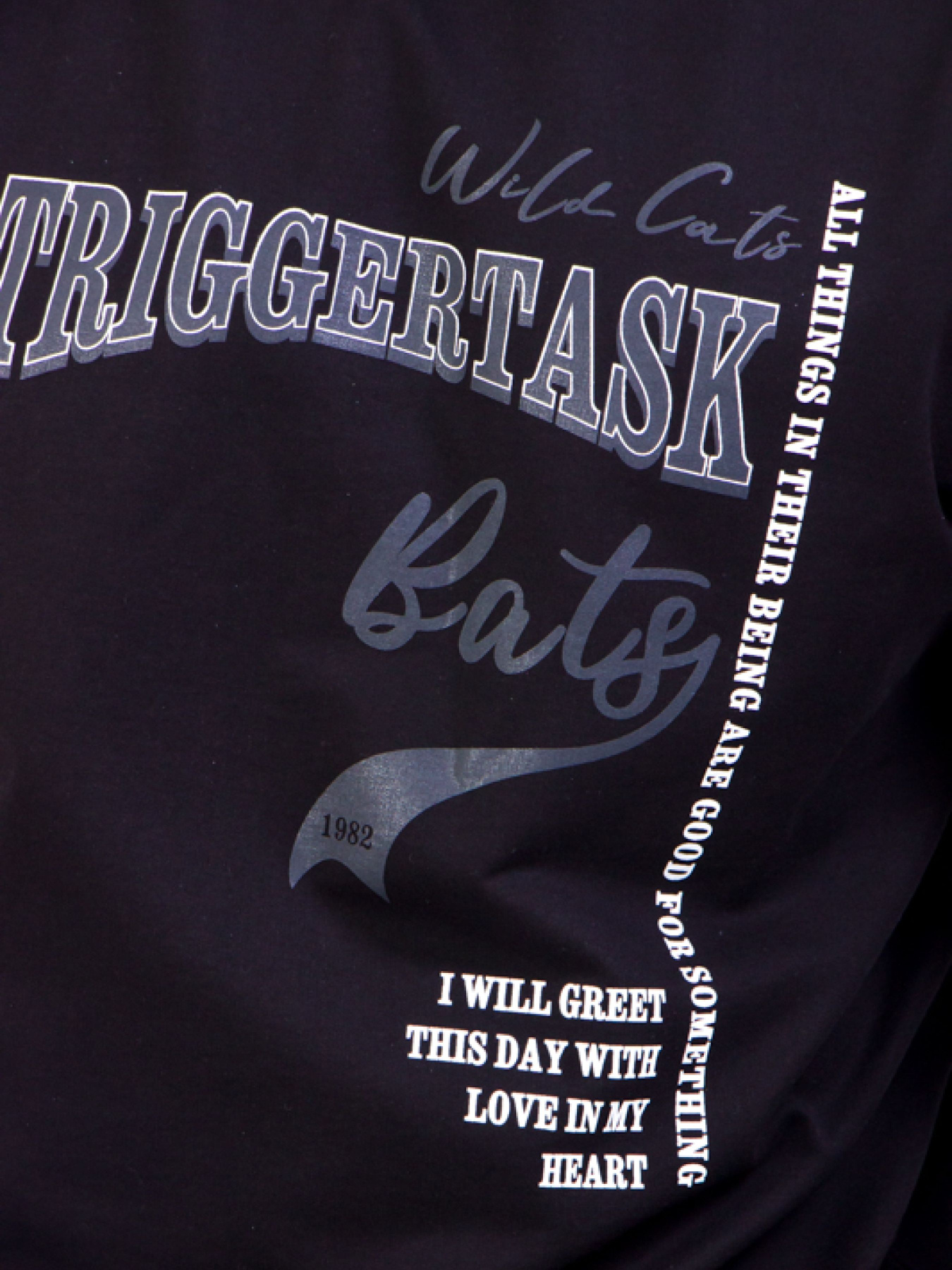 Світшот Носи своє модель 8167-057-33-1-chornij Фото