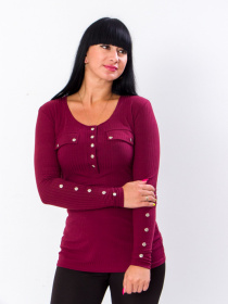 Лонгслів Носи своє модель 8173-092-bordovij Фото