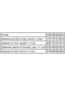 Повсякденний костюм Носи своє модель 8194-057-33-blij-hak Фото