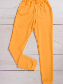 Штаны спортивные Носи своє модель 8199-057-burshtin Фото