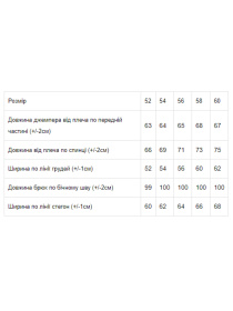 Повседневный костюм Носи своє модель 8208-057-33-baklazhan Фото