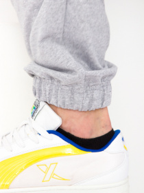 Штаны спортивные Носи своє модель 8228-057-srij Фото