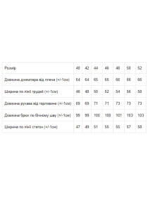 Костюм Носи своє модель 8234-057-33-grchicq Фото