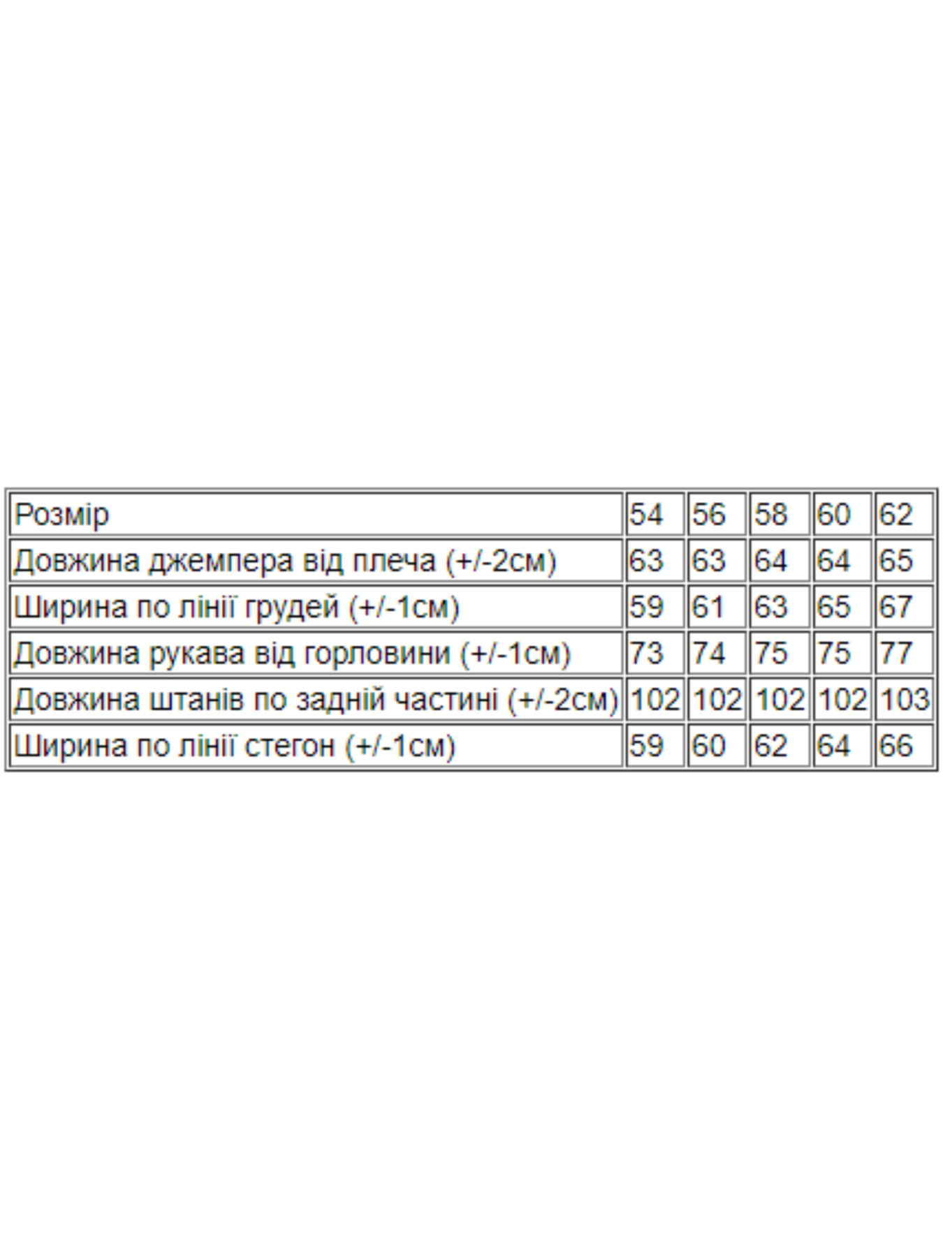 Спортивный костюм Носи своє модель 8236-057-chornij Фото