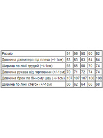 Спортивный костюм Носи своє модель 8237-057-33-blakitnij Фото