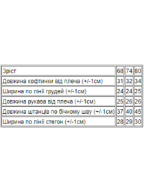 Повседневный костюм Носи своє модель 9522-015-33-4-blakitnij Фото