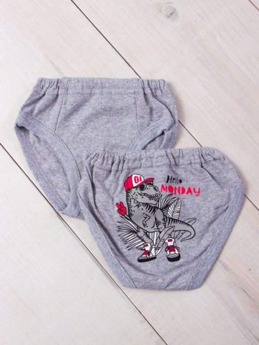 Трусы Носи своє модель 271-001-33-srij-monday Фото