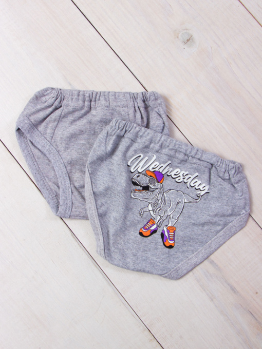 Трусы Носи своє модель 271-001-33-srij-wednesday Фото