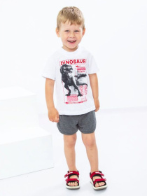 Костюм Носи своє модель 5054-001-33-blij-temno-srij Фото