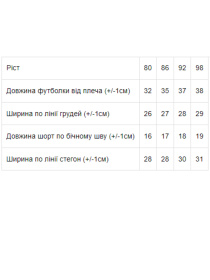 Повседневный костюм Носи своє модель 5054-001-33-zelenij Фото