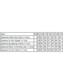 Спортивный костюм Носи своє модель 6018-023-33-1-chornij Фото