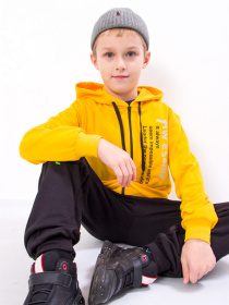 Спортивный костюм Носи своє модель 6018-023-33-4-burshtin-amesome Фото