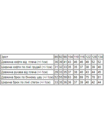 Спортивный костюм Носи своє модель 6018-023-33-4-limon Фото