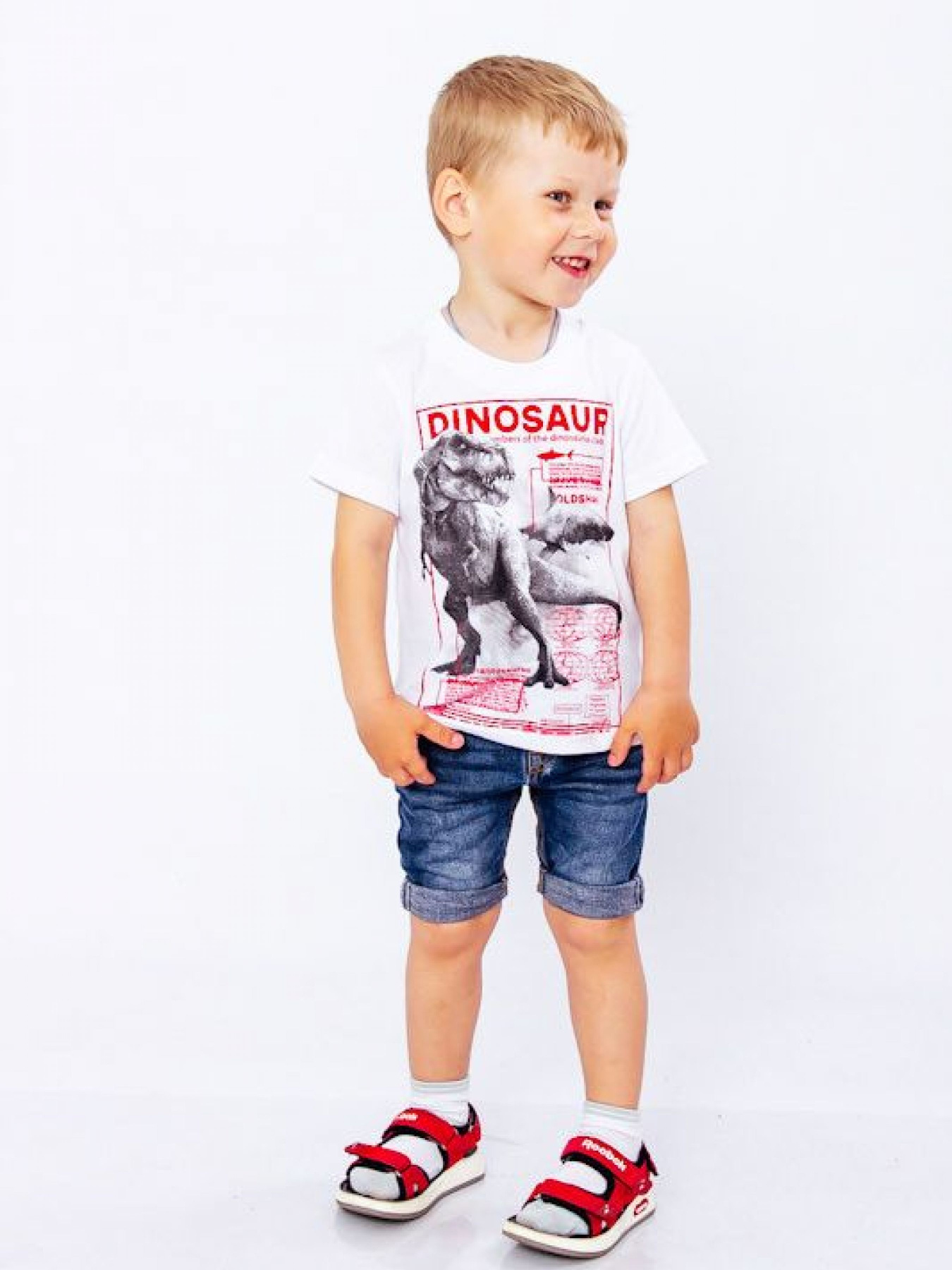 Футболка Носи своє модель 6021-001-33-1-4-blij-dinozavr Фото