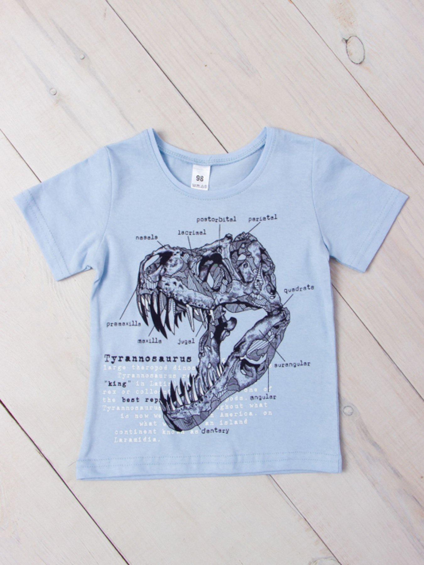 Футболка Носи своє модель 6021-001-33-1-4-svtlo-blakitnij-dino Фото