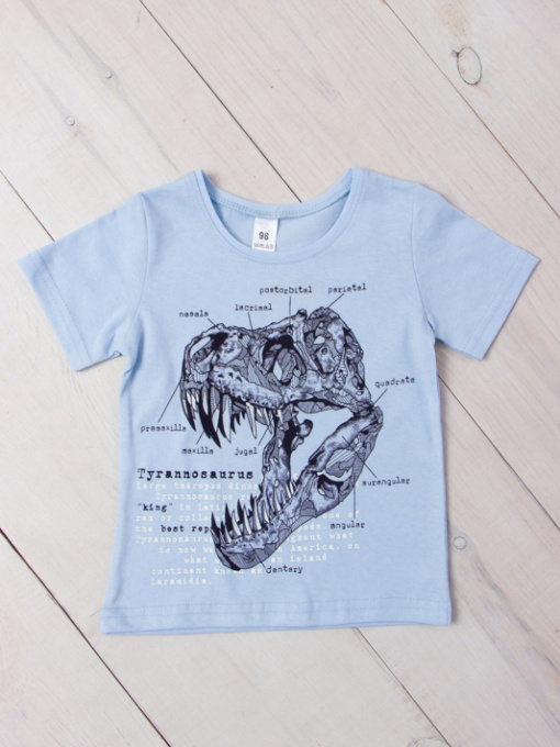 Футболка Носи своє модель 6021-001-33-1-4-svtlo-blakitnij-dino Фото